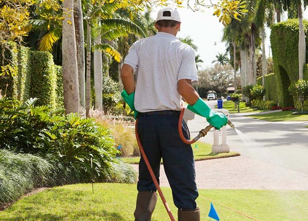 About Taylor MO Pest Control